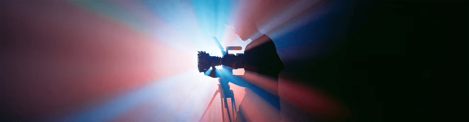 Advisory For Media Sports Entertainment Professionals