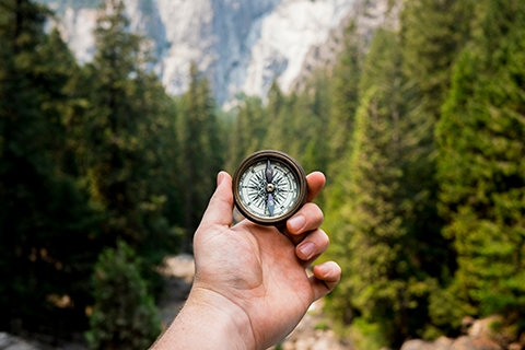 A hand holding a compass against a scenic background